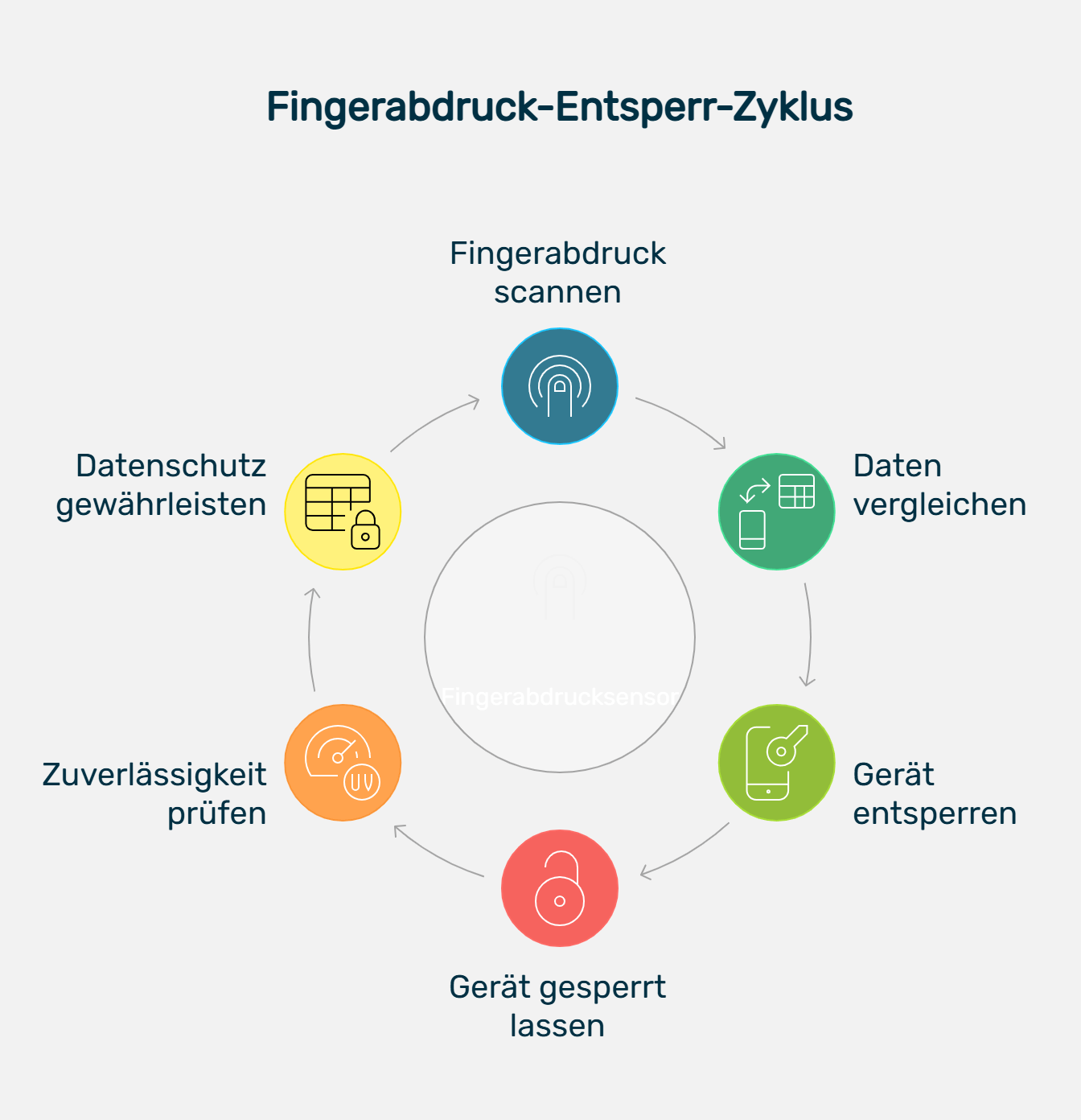 Infografik mit dem Titel „Fingerabdruck-Entsperr-Zyklus“. Sechs farbige Icons sind im Kreis angeordnet, verbunden durch Pfeile. Der Zyklus beginnt mit „Fingerabdruck scannen“, gefolgt von „Daten vergleichen“, „Gerät entsperren“, „Gerät gesperrt lassen“, „Zuverlässigkeit prüfen“ und „Datenschutz gewährleisten“. In der Mitte ist ein transparenter Fingerabdrucksensor dargestellt. Die Grafik zeigt, wie der Prozess der Fingerabdruck-Entsperrung technisch und sicherheitsbezogen abläuft.